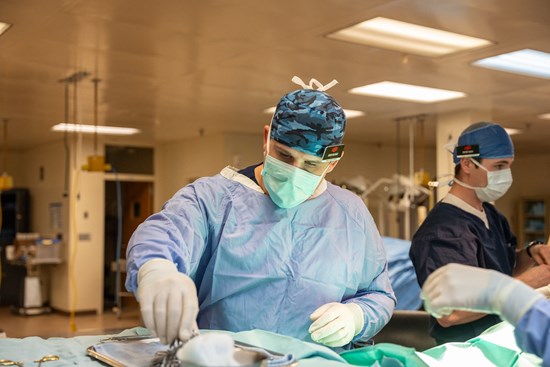 Cannot view this image? Visit: https://images.newsfilecorp.com/files/10198/274158_4ed2d48d44805b7b_002.jpg