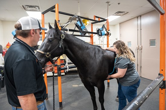 Cannot view this image? Visit: https://images.newsfilecorp.com/files/10198/274158_4ed2d48d44805b7b_003.jpg