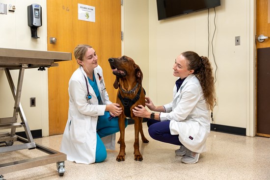 Cannot view this image? Visit: https://images.newsfilecorp.com/files/10198/274158_4ed2d48d44805b7b_004.jpg