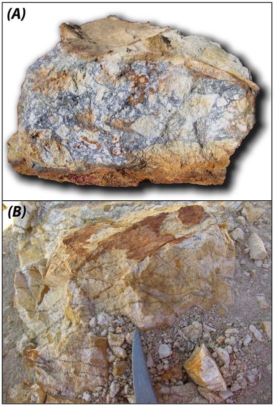 Cannot view this image? Visit: https://images.newsfilecorp.com/files/10375/278312_7b1858ef046ebb2d_003.jpg