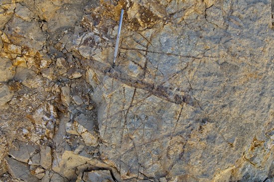 Cannot view this image? Visit: https://images.newsfilecorp.com/files/10375/291715_55fdebf144ff4804_003.jpg