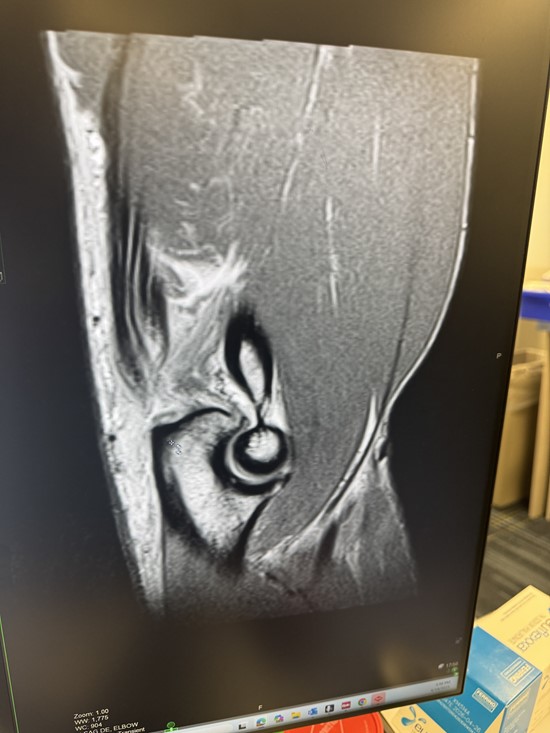 Cannot view this image? Visit: https://images.newsfilecorp.com/files/10520/281838_2.jpg