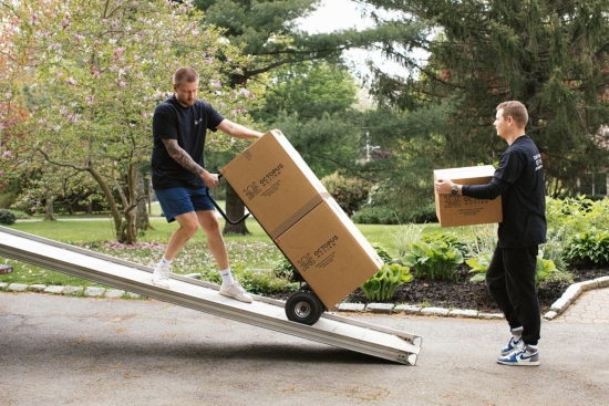 Cannot view this image? Visit: https://images.newsfilecorp.com/files/10740/294125_figure1_550.jpg