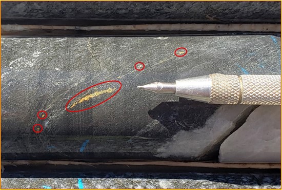 Cannot view this image? Visit: https://images.newsfilecorp.com/files/10770/273050_ongold%20figure%202_550.jpg