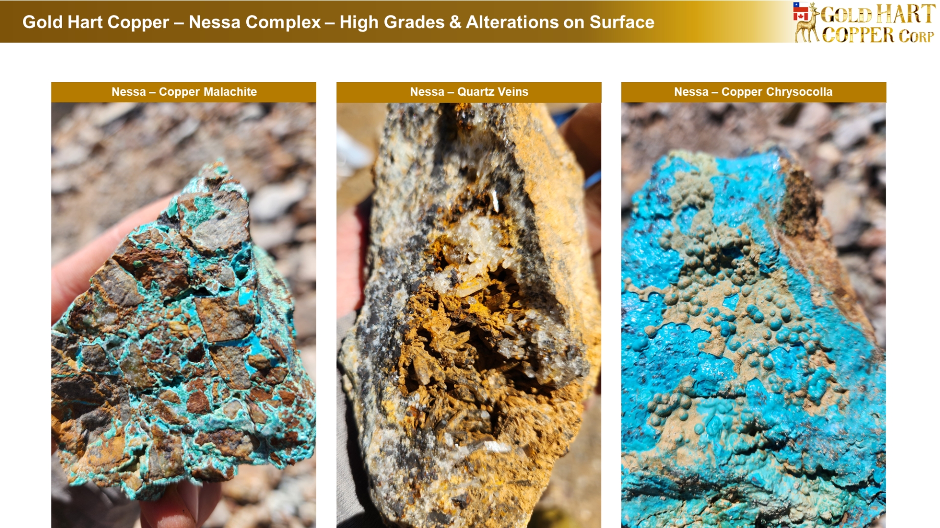 Gold Hart Copper Completes Deepest Hole Ever Drilled at Tolita Gold ...