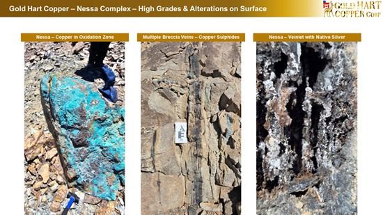 Cannot view this image? Visit: https://images.newsfilecorp.com/files/10786/286351_gold%20hart%20-%20nessa%20expansion%20-%20high%20grades%20on%20surface%20-%208_550.jpg