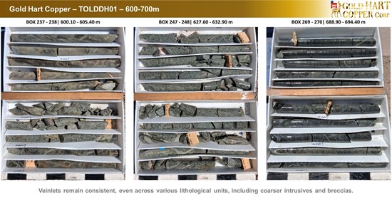 Cannot view this image? Visit: https://images.newsfilecorp.com/files/10786/291439_gold_hart_copper_-_ddhtol01_-_4_550.jpg