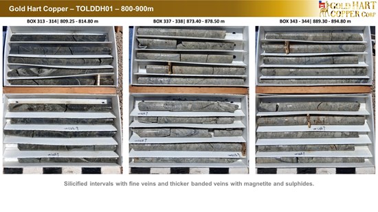 Cannot view this image? Visit: https://images.newsfilecorp.com/files/10786/291439_gold_hart_copper_-_ddhtol01_-_6_550.jpg