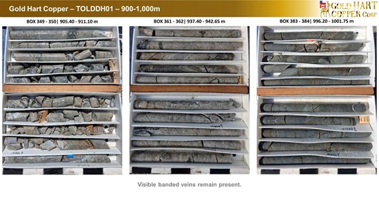 Cannot view this image? Visit: https://images.newsfilecorp.com/files/10786/291439_gold_hart_copper_-_ddhtol01_-_7_550.jpg