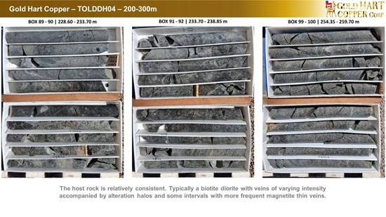 Cannot view this image? Visit: https://images.newsfilecorp.com/files/10786/291439_gold_hart_copper_-_ddhtol04_-_1_550.jpg