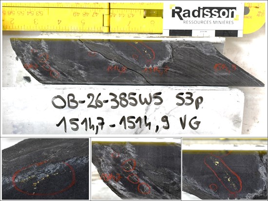 Cannot view this image? Visit: https://images.newsfilecorp.com/files/10977/315120_radissonenfiguretwo_550.jpg