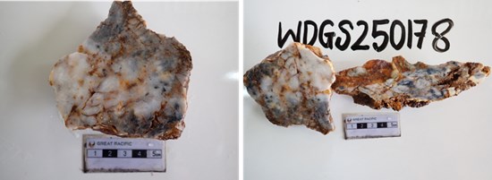 Cannot view this image? Visit: https://images.newsfilecorp.com/files/11018/288635_d49c550cb4c2eb06_009.jpg