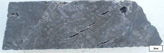 Cannot view this image? Visit: https://images.newsfilecorp.com/files/11018/308078_gpgcsixteen_550.jpg