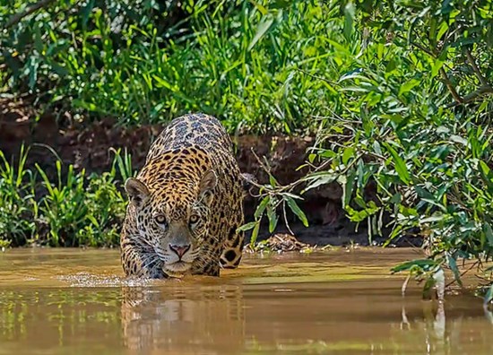 Cannot view this image? Visit: https://images.newsfilecorp.com/files/11143/286267_f488272794cf4a2f_001.jpg