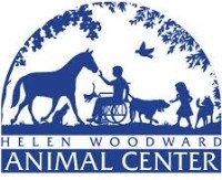 Corporate Logo