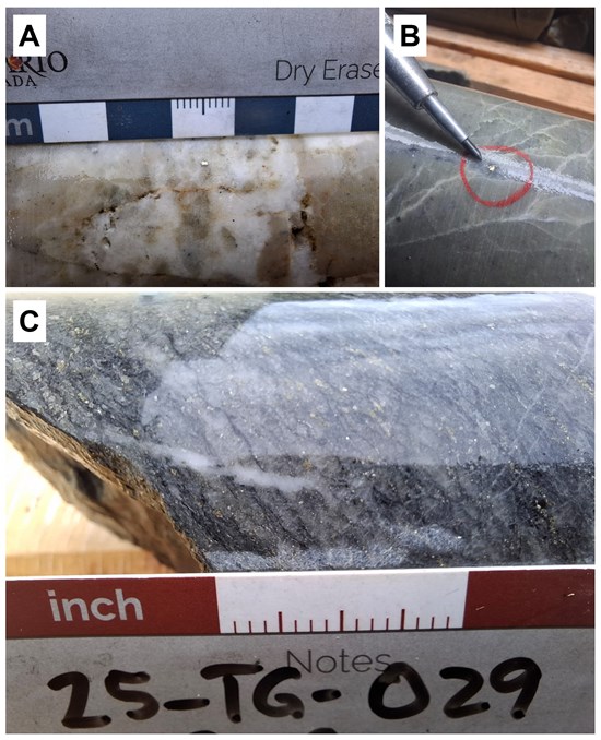 Cannot view this image? Visit: https://images.newsfilecorp.com/files/11439/280181_d5ebe9c5c4cd49d5_004.jpg