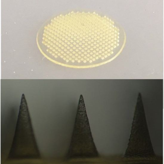 Cannot view this image? Visit: https://images.newsfilecorp.com/files/11479/293297_a835ef46849caa8d_002.jpg