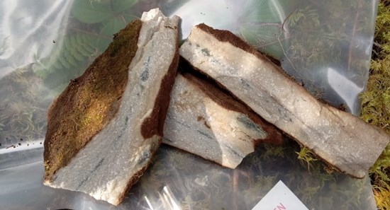 Cannot view this image? Visit: https://images.newsfilecorp.com/files/11586/273056_adbe011d144cca4b_006.jpg