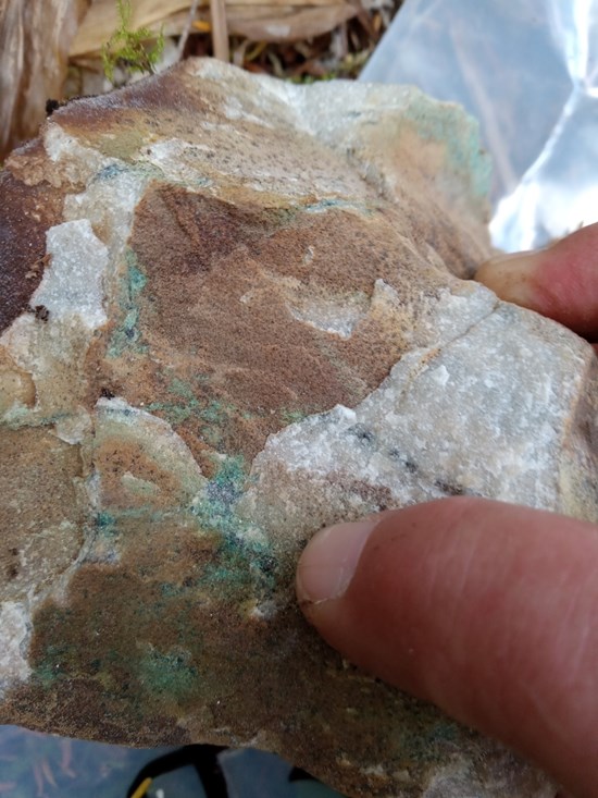 Cannot view this image? Visit: https://images.newsfilecorp.com/files/11586/273056_adbe011d144cca4b_007.jpg