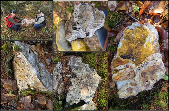 Cannot view this image? Visit: https://images.newsfilecorp.com/files/11586/281217_ce9a9609b4aeaae9_004.jpg