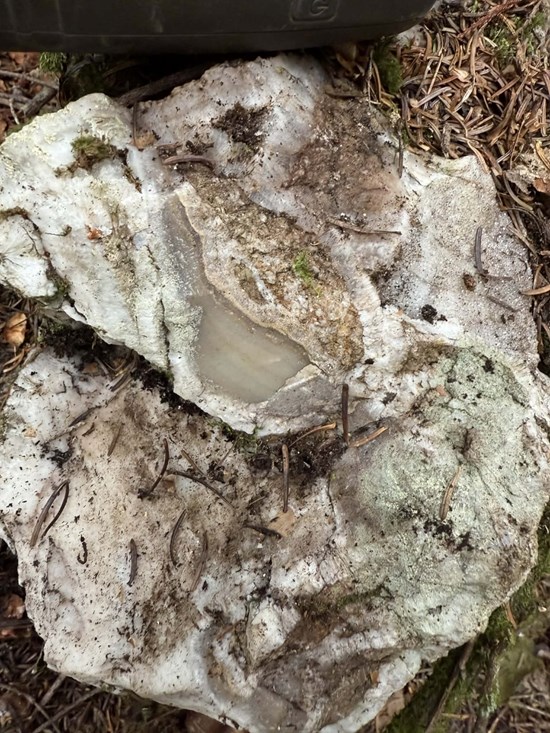 Cannot view this image? Visit: https://images.newsfilecorp.com/files/11586/281217_ce9a9609b4aeaae9_008.jpg