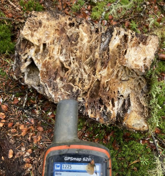 Cannot view this image? Visit: https://images.newsfilecorp.com/files/11586/281217_ce9a9609b4aeaae9_009.jpg