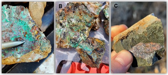 Cannot view this image? Visit: https://images.newsfilecorp.com/files/11586/289813_87cb87f6b47eaa95_009.jpg