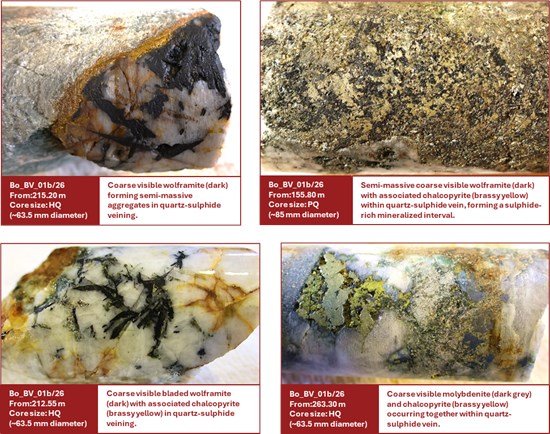 Cannot view this image? Visit: https://images.newsfilecorp.com/files/11632/291402_e02250ad542b0baf_002.jpg