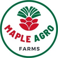 Corporate Logo