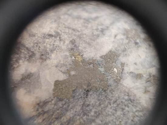 Cannot view this image? Visit: https://images.newsfilecorp.com/files/11683/315276_d968f243f42aba7f_003.jpg