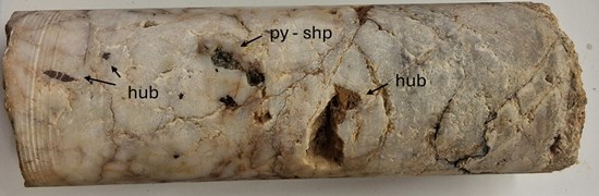 Cannot view this image? Visit: https://images.newsfilecorp.com/files/11701/278474_d4356630f4af0a43_004.jpg