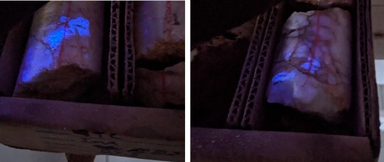 Cannot view this image? Visit: https://images.newsfilecorp.com/files/11701/278474_d4356630f4af0a43_005.jpg