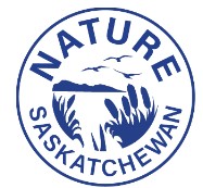 Corporate Logo