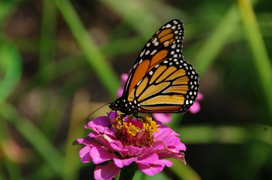 Cannot view this image? Visit: https://images.newsfilecorp.com/files/11728/265161_9f73e7b21403598a_002.jpg