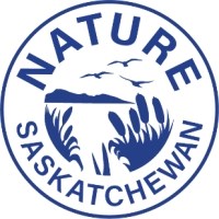 Corporate Logo