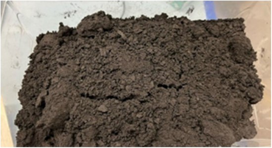 Cannot view this image? Visit: https://images.newsfilecorp.com/files/11749/275128_geomegaimg5_550.jpg