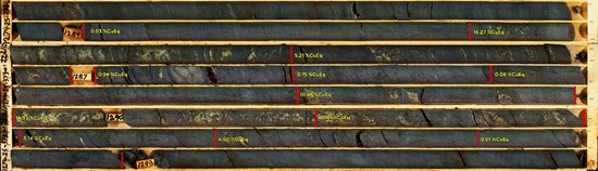 Cannot view this image? Visit: https://images.newsfilecorp.com/files/11775/272535_f64b8d8dc4f82b70_003.jpg