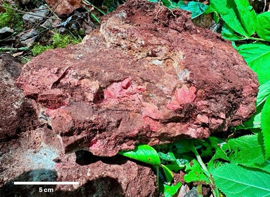 Cannot view this image? Visit: https://images.newsfilecorp.com/files/11828/294540_7cc7a706a4686969_004.jpg