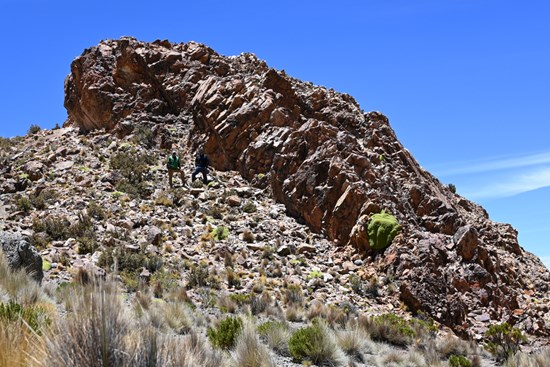 Dieses Bild wird nicht angezeigt? Besuchen Sie: https://images.newsfilecorp.com/files/11890/275105_233c1ca1a490c9a5_003.jpg