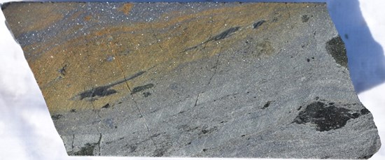 Cannot view this image? Visit: https://images.newsfilecorp.com/files/12035/292826_figure2_550.jpg