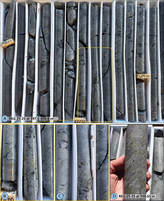 Cannot view this image? Visit: https://images.newsfilecorp.com/files/12067/277251_763a6a31d4d5d917_002.jpg