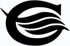 Corporate Logo