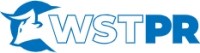 Corporate Logo