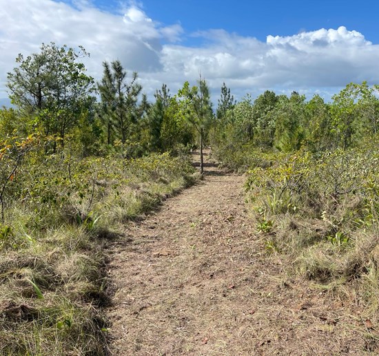 Cannot view this image? Visit: https://images.newsfilecorp.com/files/1718/285668_d4352d81341959cb_003.jpg