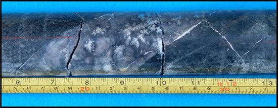 Cannot view this image? Visit: https://images.newsfilecorp.com/files/2093/285001_f162d4fc9406bbb0_002.jpg