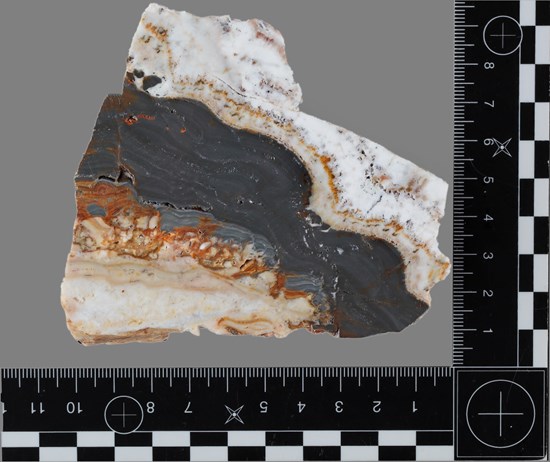 Cannot view this image? Visit: https://images.newsfilecorp.com/files/2477/294533_4091c56a84aeb95b_002.jpg