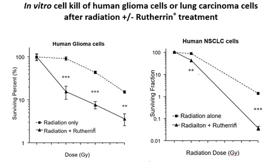 Cannot view this image? Visit: https://images.newsfilecorp.com/files/2786/272817_23f3f35354aa2a96_001.jpg