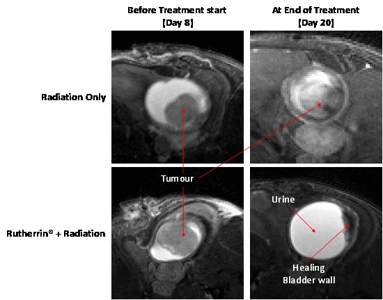 Cannot view this image? Visit: https://images.newsfilecorp.com/files/2786/286595_17f6f13c641d1bf2_005.jpg