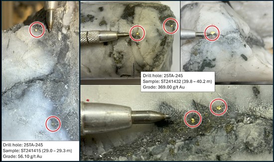 Cannot view this image? Visit: https://images.newsfilecorp.com/files/2958/276754_cassiar%20figure%203_550.jpg