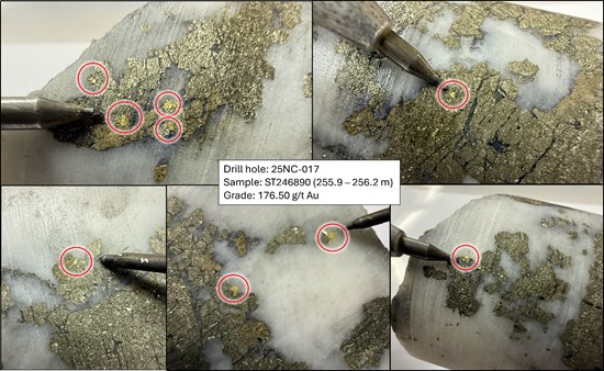 Cannot view this image? Visit: https://images.newsfilecorp.com/files/2958/281372_a3e3a725b491aa8a_004.jpg